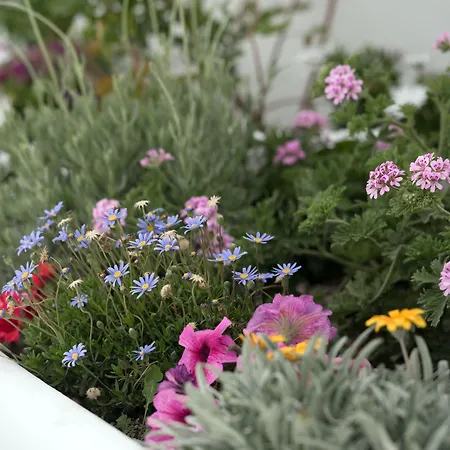 Aris Caves Appartamento *