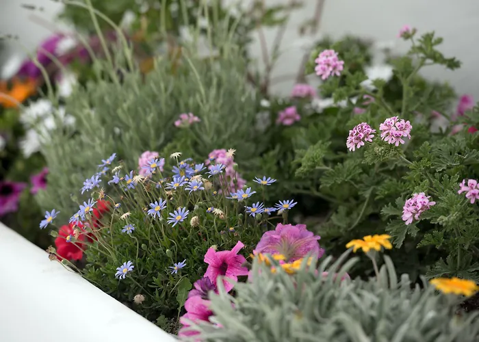 Aris Caves Apartment *